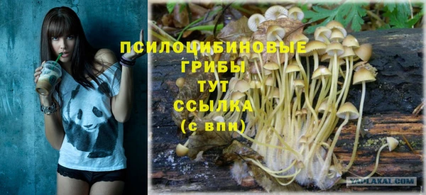 кристаллы Богородицк