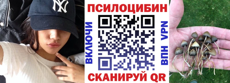 Псилоцибиновые грибы Psilocybine cubensis  Зима 