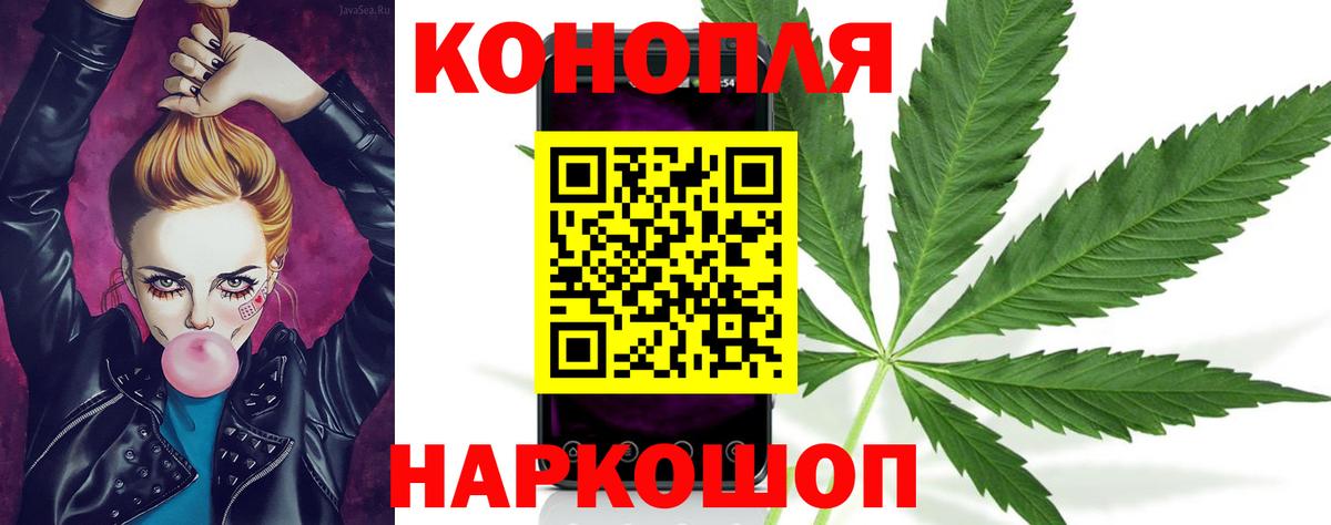 Шишки марихуана семена Зима